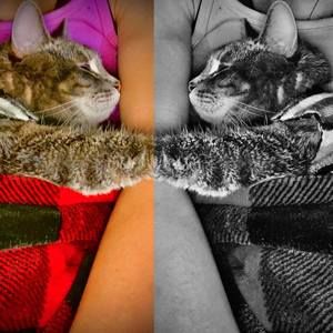 Meet your Posher, Katelyn